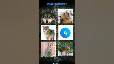 MEMORY TEST 🧠 | BRAIN CHALLENGE...CAN YOU GRAB ANY? #memorytest #iqtest #quiz #brainchallenge