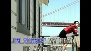 the beatles   lemon tree karaoke