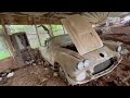 We found a 1959 corvette in a chicken house wait thats not all