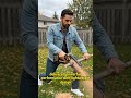 .#chainsaw #powertools #yardwork #minichainsaw #ToolReview#buyjoystore