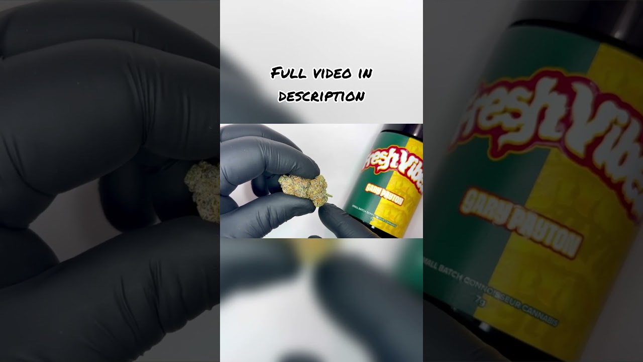 Gary Payton Strain Close-Up