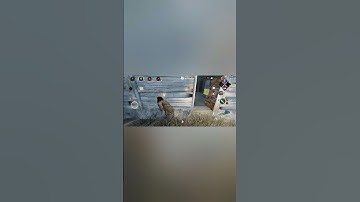 Бежим DBD #dbd #dbdmobilefun #dbdmobile #dbdsurvivor #dbdshorts #deadbydaylight #dbdkiller