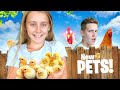 We Adopted 4 Baby Chickens and 1 Was a Mistake
