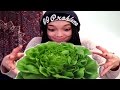 7 Wochen Vegan - Wie War's? | Fazit