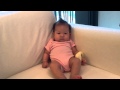 ユイ 生後二ヶ月 ソファに背中をもたれてお座り