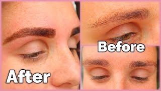 HOW TO TINT AND HENNA YOUR EYEBROWS | PRODUCTS TO TRY !