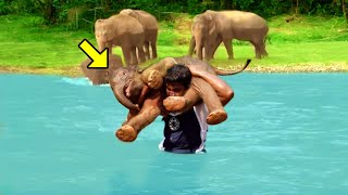 Man Saves Drowning Baby Elephant.. Just Watch What The Herd Did To Him! by UNITY 31,976 views 1 day ago 13 minutes, 37 seconds