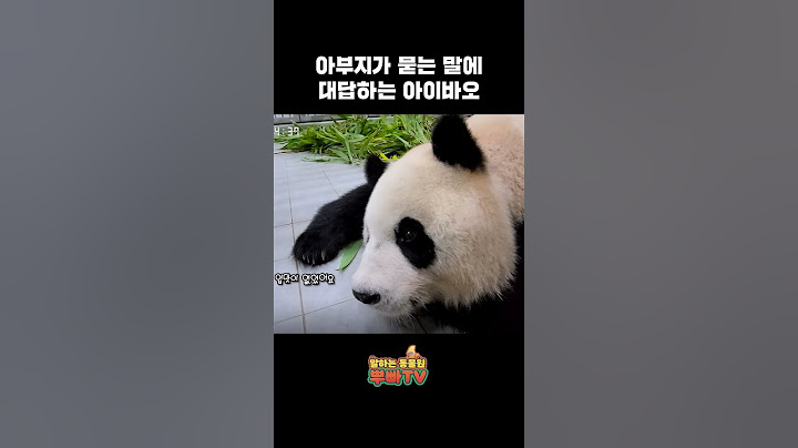 아이바오와 강바오의 따뜻한 대화