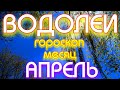 ГОРОСКОП ВОДОЛЕИ НА АПРЕЛЬ МЕСЯЦ. 2022 ГОД