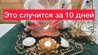 видео: 💣Все что скажу: случится за 10 дней💣 картинка: 💣Все что скажу: случится за 10 дней💣