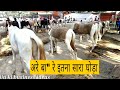 Horse Mandi Sonpur Bihar 2018