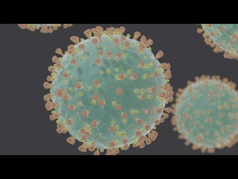 anonymous---bioweapons-released-on-humanity---coronavirus-(covid-19)