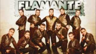Video thumbnail of "Enamorado - Tropicalisimo Flamante"