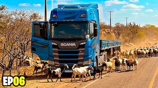 ALMOST HIT ANIMALS ON THE ROAD IN THE NORTHEAST VERY DANGEROUS EP6