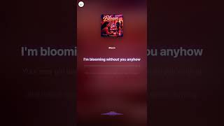Bloom - NyzaStudios | Neo-Soul Lyric Video