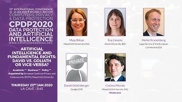 CPDP 2020: Artificial Intelligence and Fundamental Rights: David vs. Goliath or vice-versa?