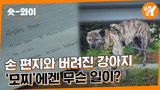 [Y 685회 요약] 모찌야, 꼭 살아야해!, 시한부 견주의 민낯은? | 숏와이