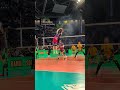 📺 Watch the CEV Champions League Volleyball LIVE on EuroVolley.TV #cev #volleyball #clvolley