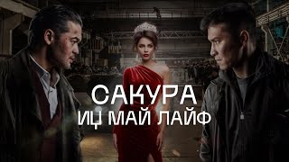 САКУРА. ИЦ МАЙ ЛАЙФ. Спойлерсіз шолу