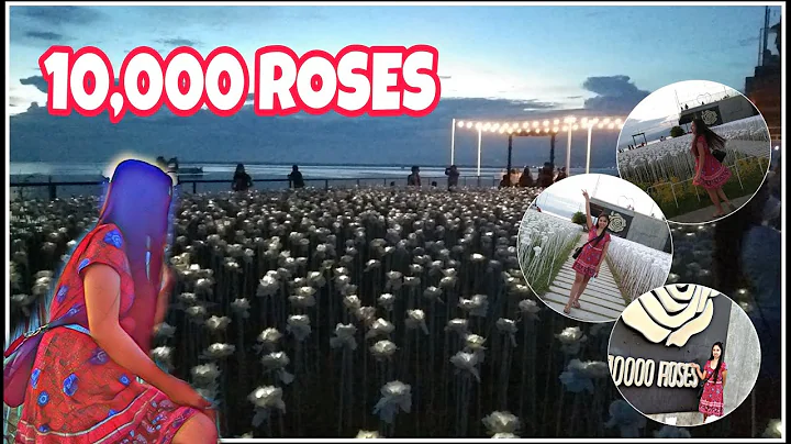 10,000 ROSES in CORDOVA CEBU | Orizjona