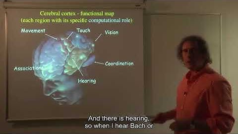 06 cable theory and dendritic computations 01 lesson 6 01 the brain computes