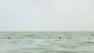 Efterklang ft. Mabe Fratti – Ese Día (Official Video)