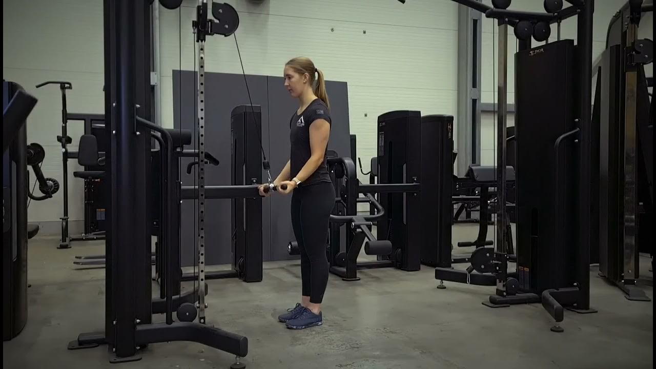 Standing supinated cable tricep pulldown YouTube