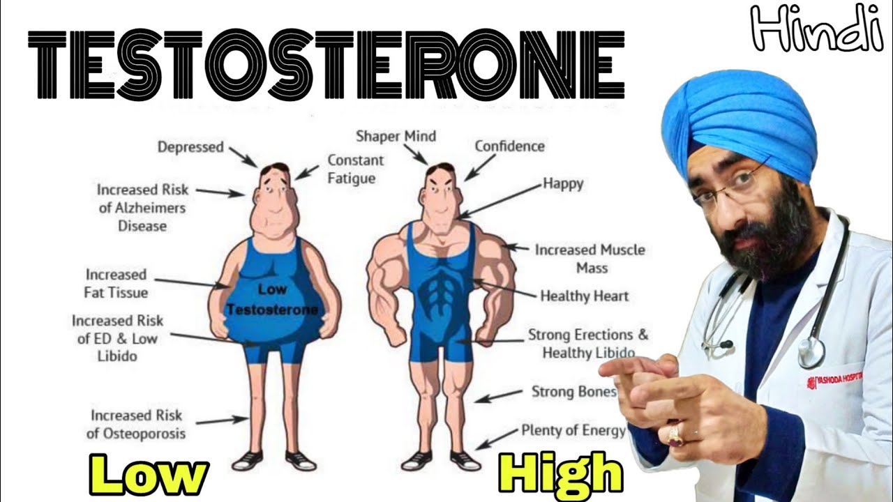 Pro BODYBUILDING #1 - Advanced Testosterone Knowledge Recap |  Dr.Education (Hindi)