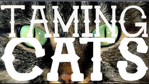 Simple Ocelot Taming! (Tutorial) Minecraft 1.6