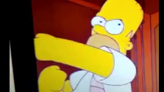 homer simpson punches lord hater