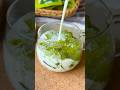 抹茶ミルクジュレ🌱