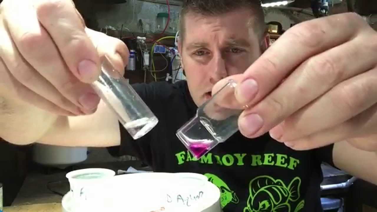 Nitrate testing in a reef tank with salifert test kit made easy with FBR 