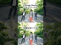 Chicago Poodle  「太陽は知ってる」