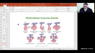 Chapter 4 Part 2 Lecture Video