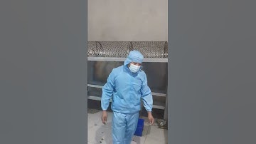 Walnut! How are walnuts screened?