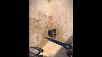 《玩沙2必学烟闪闪》#cs2教学 #csgo道具 #cs2道具教学 #cs2 #炸鱼cs2 #csgo #fyp #cs2clips #shorts