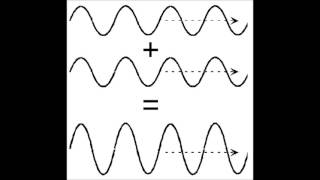 Wave Interference