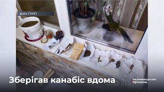 Зберігав вдома канабіс: 43-річний буковинець скоїв наркозлочин