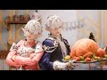 The splendorous starlight cooking show  ffxiv animated