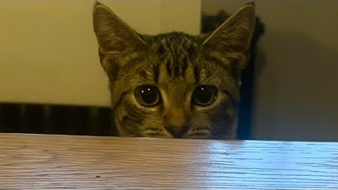 My new intro what do you think 