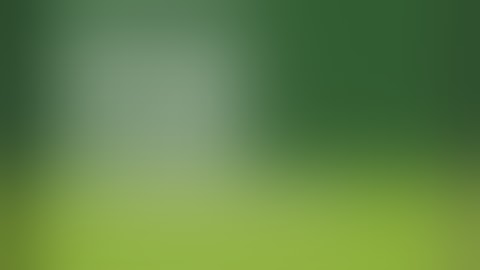 TV Land TV Satisfaction