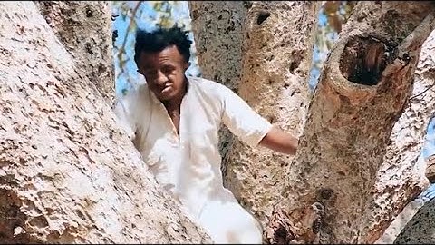 Eritrean comedy (  Mebrahtu Solomon and Rezene Beyene ●2020 part 6