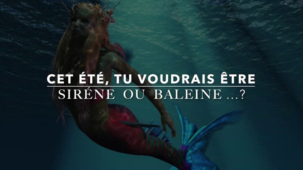 Cet été, tu veux être une sirène ou une baleine ? YouTube