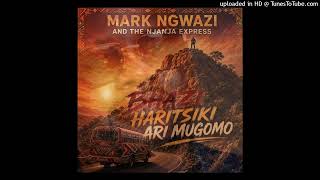 Mark Ngwazi : Sei Zvichidaro? (2026 production)