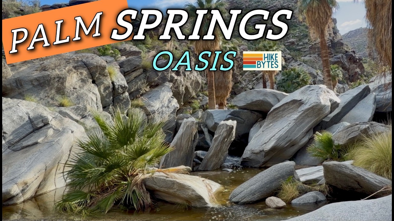 Palm Canyon to Stone Pools | Palm Springs Oasis Hike in Indian Canyon CA Desert Paradise