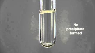 Test for Cation: Test for Calcium (II) ion with Aqueous Ammonia