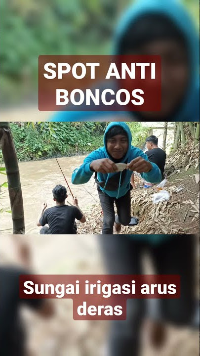Mancing di sungai irigasi arus deras #shorts #viral #ytshorts  #shortsvideo #mancingnilem