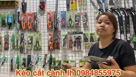 Tổng hợp các mẫu kéo cắt tỉa cành cây cảnh bonsai cực kỳ sắc ngọt 0984855975