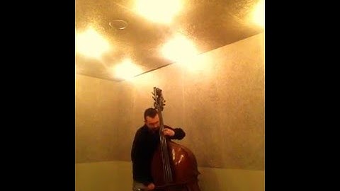 BOTTESINI FLAT-CHROMESTEEL PIRASTRO Damián Rubido González, bass. Follow the link below for +strings