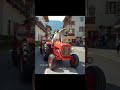 Farming in Switzerland… with Flippers! #viral #penguin #ai #cute #funny #animals #animaladventure